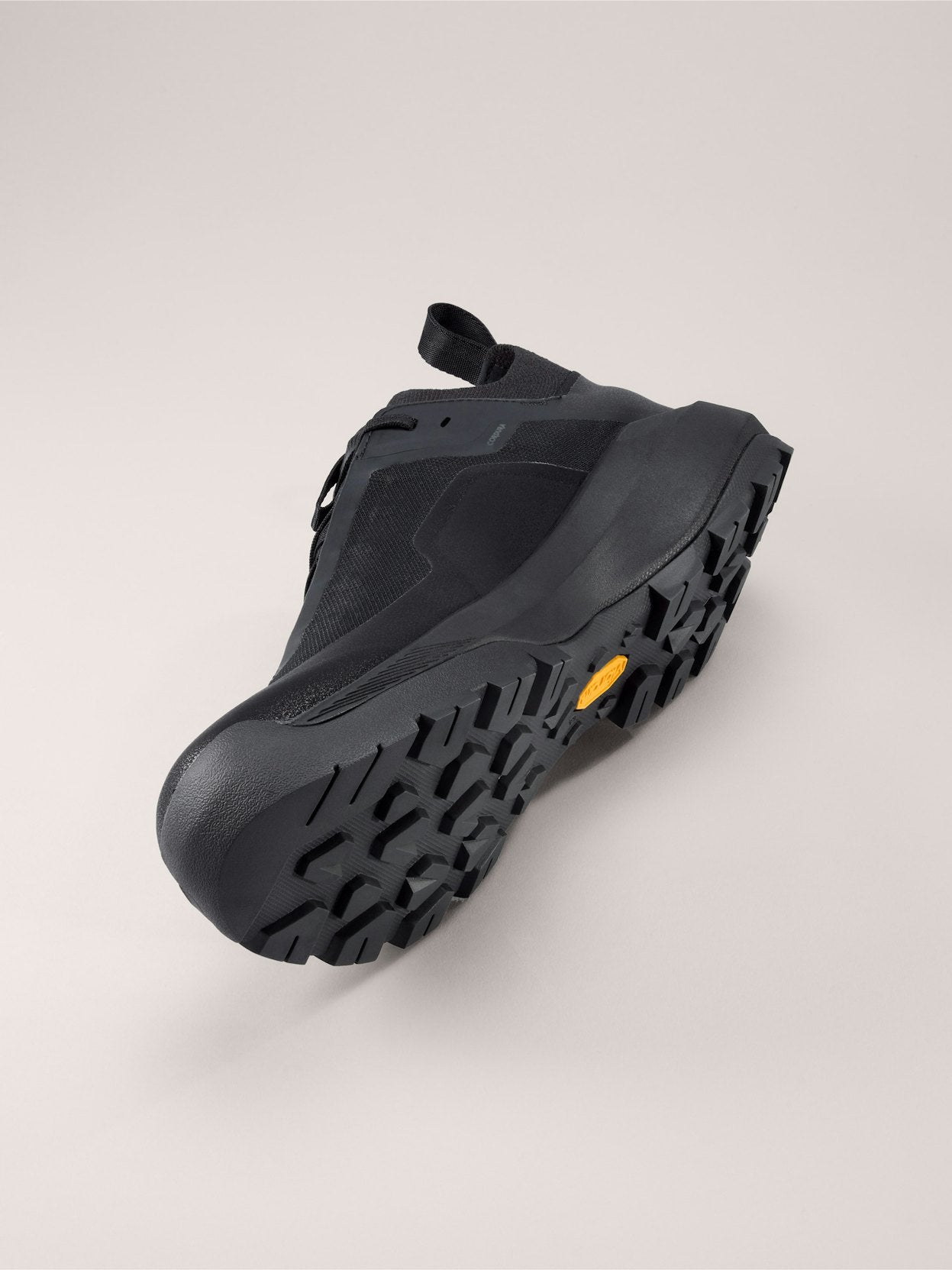 VERTEX ALPINE GTX SHOE MEN'S