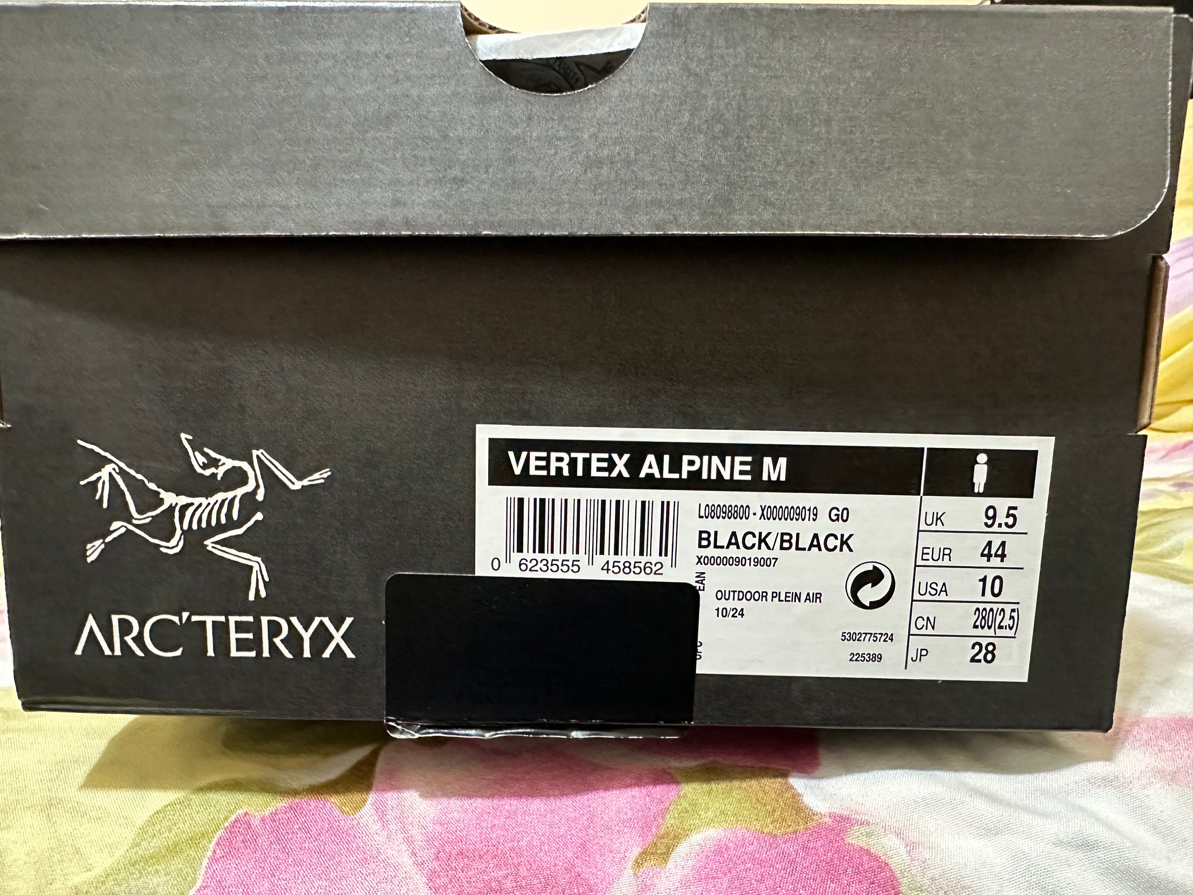 VERTEX ALPINE GTX SHOE MEN'S