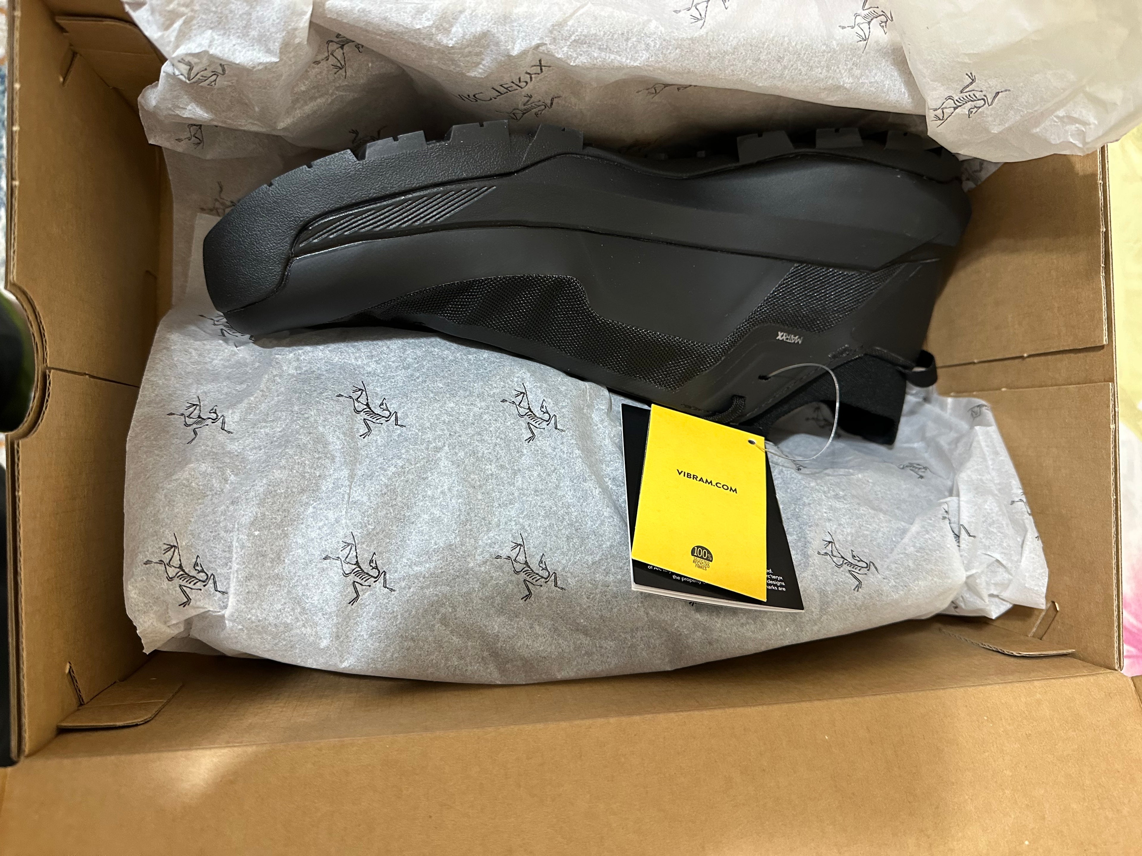 VERTEX ALPINE GTX SHOE MEN'S