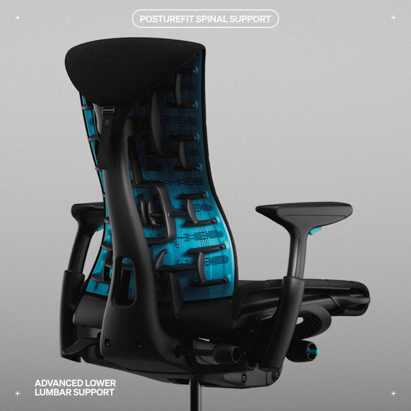 Herman Miller Embody chair