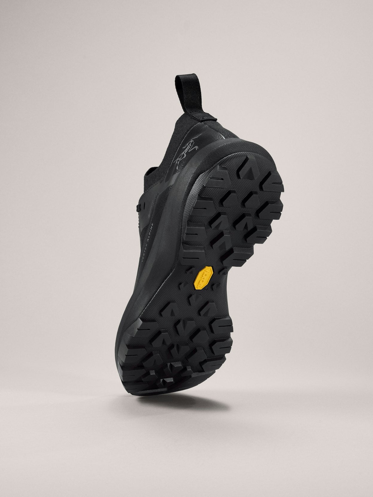 VERTEX ALPINE GTX SHOE MEN'S